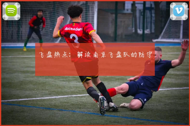 飞盘热点：解读南京飞盘队的防守
