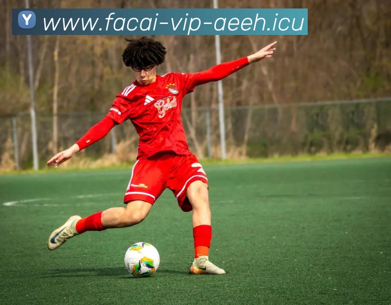 九游体育服务体系